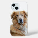 Recherche de image de golden retriever Animal