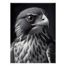 Zoek naar valk posters Majestueus