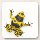 Zoek naar darts onderzetters Reptielen