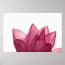 Recherche de fleurs de lotus posters Symbole