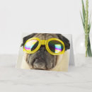 Zoek naar grappige pugs kaarten Puppy