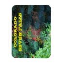 Recherche de vignes magnets Pour tous