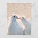 Recherche de kissing cartes postales Couple