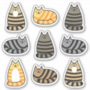 Recherche de housecat Animaux domestiques