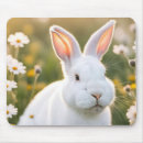 Recherche de lapin blanc tapis souris Mignon