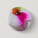 Recherche de coccinelle badges Animal