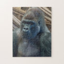 Recherche de gorilla puzzles Gorille