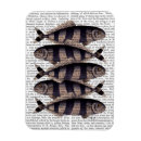 Recherche de poissons magnets Steampunk
