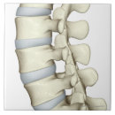 Zoek naar dokter tegels Medisch