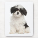 Recherche de coquelicots tapis souris Amour
