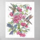 Recherche de oiseaux fleurs posters Roses