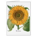 Recherche de horticulture vœux cartes Jardins