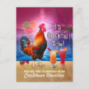 Recherche de coq drôle cartes postales Plage