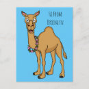 Recherche de dromadaires cartes postales Pour tous