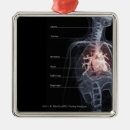 Recherche de diagramme ornements Humain