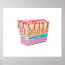 Recherche de artère posters Détail