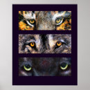 Recherche de yeux de chien posters Loup