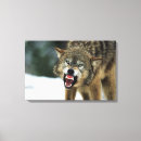Recherche de grondement posters Faune