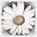 Recherche de white daisy autocollants Marguerite