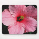 Recherche de ketmie tapis souris Rose