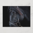 Recherche de cheval tête posters Amateurs de chevaux