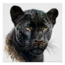 Recherche de panther posters Black