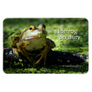 Recherche de grenouille verte magnets Amphibien