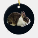 Zoek naar bruin konijn ornamenten Dier