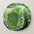 Recherche de python coussins Vert