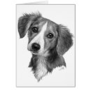 Zoek naar pluizige honden briefkaarten Schattig