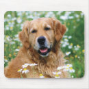 Recherche de mousepad golden retriever tapis souris Animaux