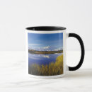 Recherche de mont mckinley tasses Pittoresque