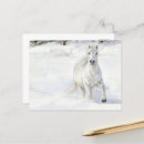 Recherche de galopant cartes postales Poney