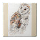 Recherche de hibou carreaux Région boisée