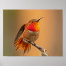 Recherche de observé posters Jardin