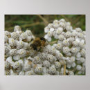 Recherche de avec abeilles posters Jardin