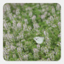 Recherche de rampante autocollants Insecte