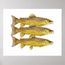 Recherche de trout posters Fishing