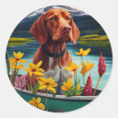 Zoek naar vizsla stickers Huisdier