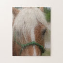 Recherche de chevaux puzzles Pour elle