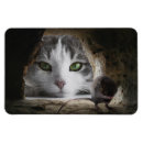 Recherche de chat et souris magnets Décoration
