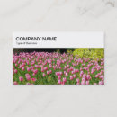 Recherche de tulipes roses cartes visite Affaires