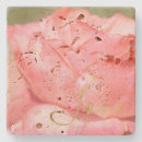 Recherche de inspirational photographie Rose