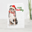 Recherche de australian christmas vœux cartes Chien