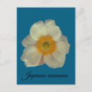 Recherche de japonaises cartes postales Floral