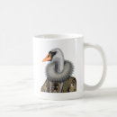 Recherche de cygnes mugs bouteilles Animaux
