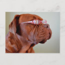 Recherche de lunettes roses cartes postales Pour tous