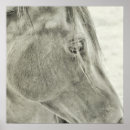 Recherche de 24x24 posters Amour