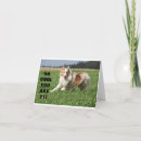Recherche de shetland vœux cartes Colley