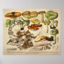 Zoek naar groen geel posters Bruin